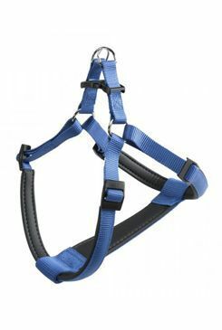 Postroj DAYTONA P L modrá FP 1ks