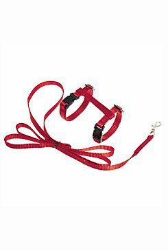 Postroj Kotě nylon+vodítko Červená KAR new