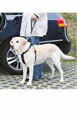 Vodítko nylon fixační k postroji PROTECT černý TR 1ks