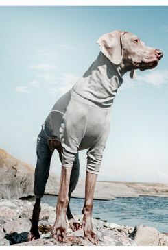 Obleček Hurtta Body Warmer šedý 35S *