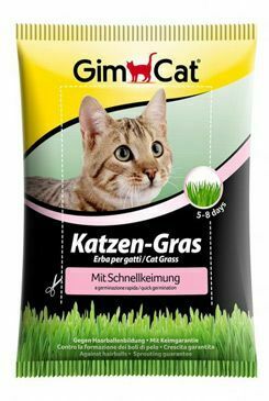 Gimcat Katzen-Gras kočičí tráva 100g