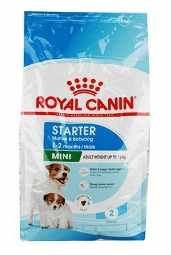 Royal Canin Mini Starter Mother&Babydog 4kg