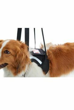 Postroj zvedací Rehab na přední nohy M KRUUSE