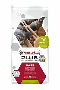 VL Plus Base pro holuby 20kg