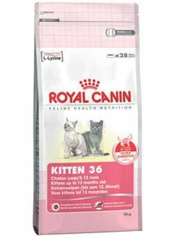Royal Canin Feline Kitten 10kg