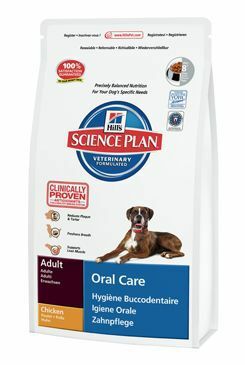 Hill's Canine Dry Oral Care 2kg