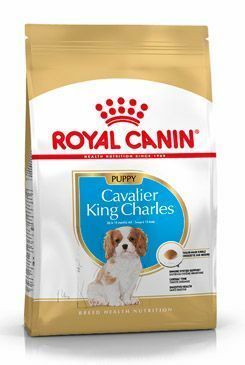 Royal Canin Breed Kavalír King Charles Puppy 1,5kg