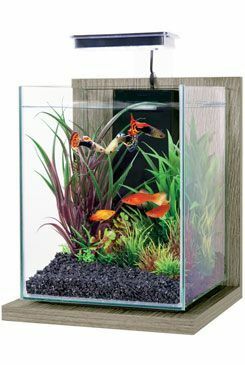 Akvárium JALAYA Zebrano 9,3l Zolux