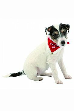 Vánoční šátek pro psa 37-47cm/20mm M TR 1ks