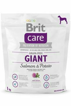 Brit Care Dog Grain-free Giant Salmon & Potato 1kg