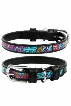 Obojek kožený Summer černý (38-49cm/2,5cm)