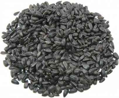 Avicentra slunečnice černá 20kg