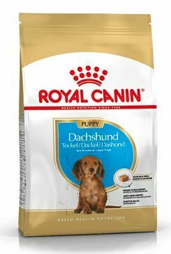 Royal Canin Breed Jezevčík Puppy 1,5kg