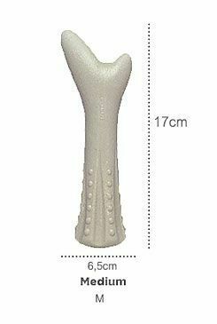 import-06-25-2023.jpg