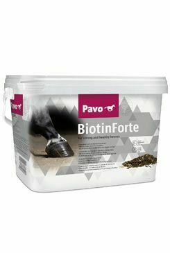 PAVO BiotinForte 3kg