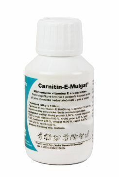 Carnitin-E-Mulgat 100ml