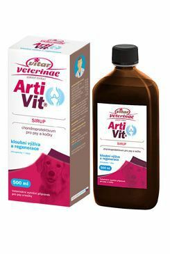 VITAR ArtiVit Sirup 500ml