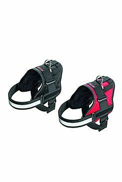 Postroj teflon XTREME  černý reflex S 55-78/38 KAR