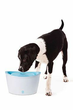 Fontána DOGIT plast velká 6l