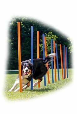 AGILITY slalom,tyče 12ks modrá/oranžová 3,3/115cm TR