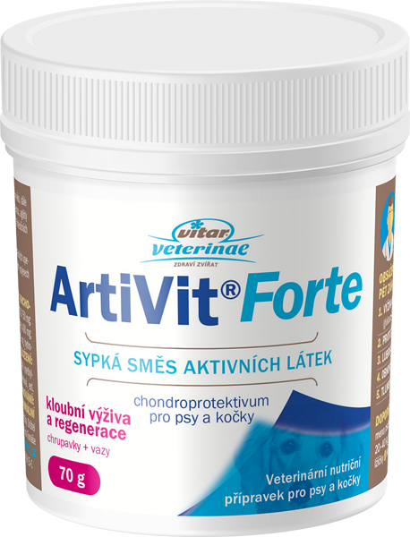 VITAR ArtiVit Forte prášek 70g
