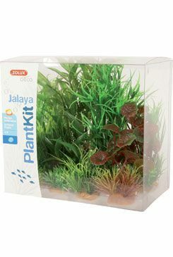 Rostliny akvarijní JALAYA 2 sada Zolux
