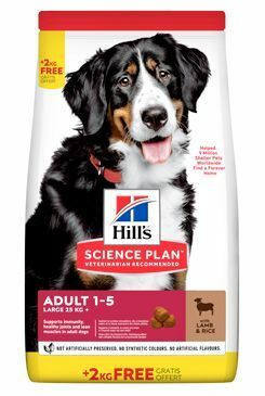 Hill's Can.Dry SP Adult Large Lamb&Rice 12+2kg