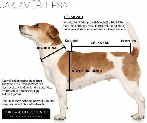 jak-zmerit-psa-hurtta.jpg