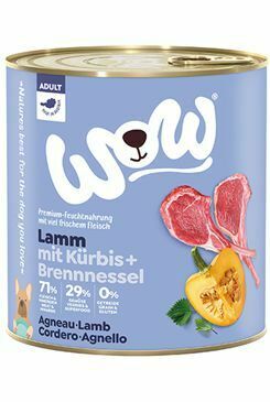 WOW konzerva Adult jehněčí s dýní 800g