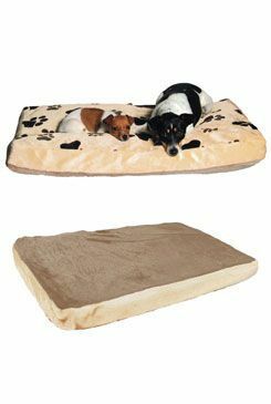 Pelech JOEY s tlapkami 80x55cm plyš, béžová TR