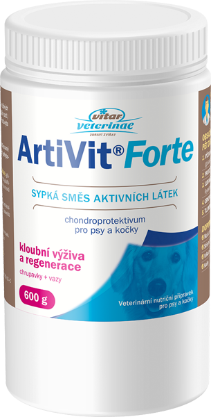 VITAR ArtiVit Forte prášek 600g