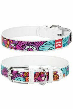 Obojek kožený Summer bílý (30-39cm/2cm)