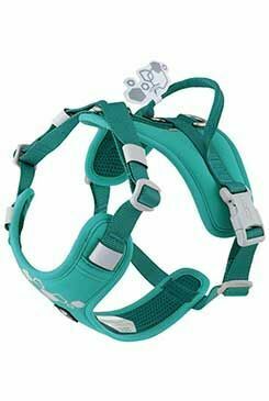 Postroj Hurtta Weekend Warrior II ECO paví zeleň 40-50