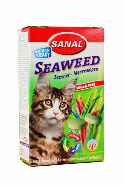 Sanal kočka Seaweed s mořskou řasou a vit.. 100tbl