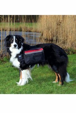 Ruksak na záda pro psa nylon L 28x18cm TR