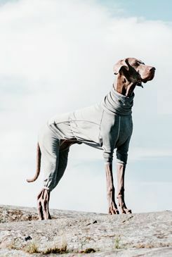 Obleček Hurtta Body Warmer šedý 30S *