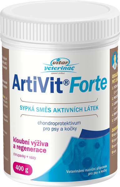VITAR ArtiVit Forte prášek 400g