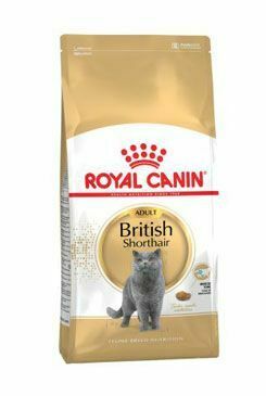 Royal Canin Breed  Feline British Shorthair 10kg