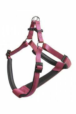 Postroj DAYTONA P  S červená FP 1ks