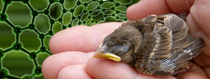 Nanostříbro ve veterinárních přípravcích